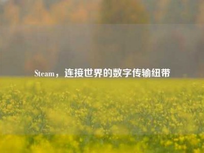Steam，连接世界的数字传输纽带