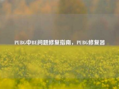 PUBG中BE问题修复指南，PUBG修复器
