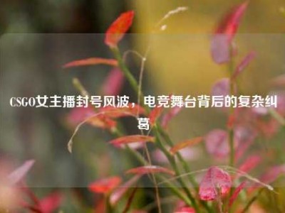 CSGO女主播封号风波，电竞舞台背后的复杂纠葛