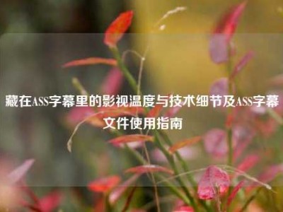藏在ASS字幕里的影视温度与技术细节及ASS字幕文件使用指南
