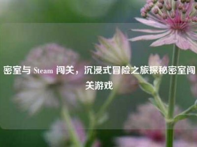 密室与 Steam 闯关，沉浸式冒险之旅探秘密室闯关游戏