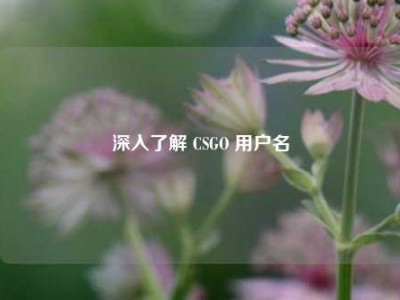 深入了解 CSGO 用户名