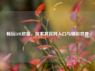 畅玩LOL欧服，探索其官网入口与精彩世界