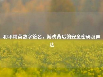 和平精英数字签名，游戏背后的安全密码及弄法