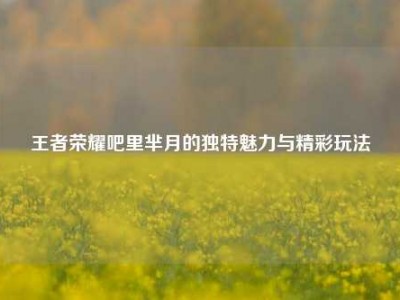 王者荣耀吧里芈月的独特魅力与精彩玩法