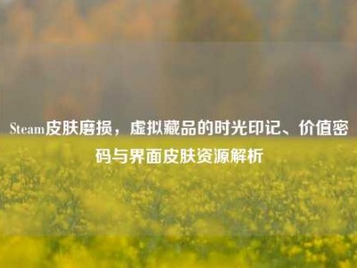 Steam皮肤磨损，虚拟藏品的时光印记、价值密码与界面皮肤资源解析