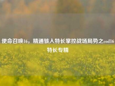 使命召唤16，精通骇入特长掌控战场局势之cod16特长专精