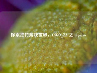 探索独特游戏世界，CSGO_ZZ 之 csgozzw
