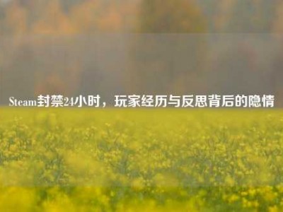 Steam封禁24小时，玩家经历与反思背后的隐情
