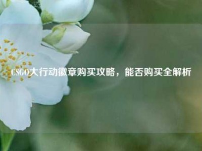 CSGO大行动徽章购买攻略，能否购买全解析