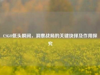 CSGO低头瞬间，洞察战局的关键抉择及作用探究