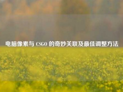 电脑像素与 CSGO 的奇妙关联及最佳调整方法