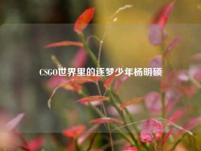 CSGO世界里的逐梦少年杨明硕