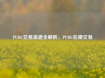 PUBG交易渠道全解析，PUBG在哪交易