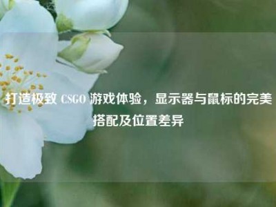 打造极致 CSGO 游戏体验，显示器与鼠标的完美搭配及位置差异