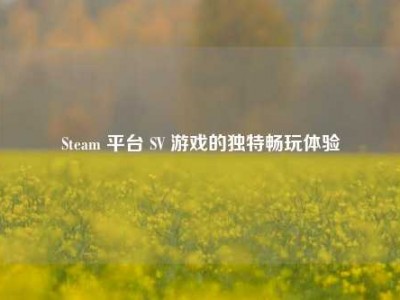 Steam 平台 SV 游戏的独特畅玩体验