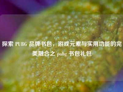 探索 PUBG 品牌书包，游戏元素与实用功能的完美融合之 pubg 书包礼包