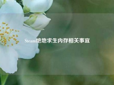 Steam绝地求生内存相关事宜