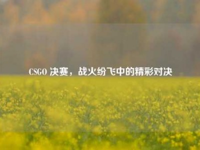 CSGO 决赛，战火纷飞中的精彩对决