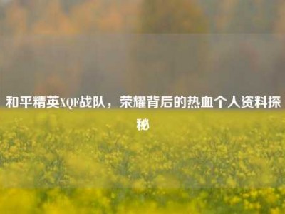和平精英XQF战队，荣耀背后的热血个人资料探秘