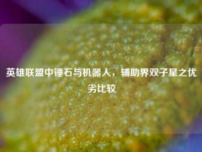 英雄联盟中锤石与机器人，辅助界双子星之优劣比较