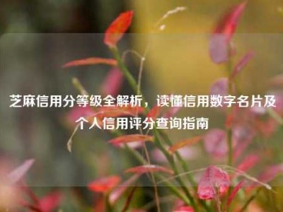 芝麻信用分等级全解析，读懂信用数字名片及个人信用评分查询指南