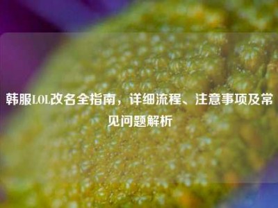 韩服LOL改名全指南，详细流程、注意事项及常见问题解析