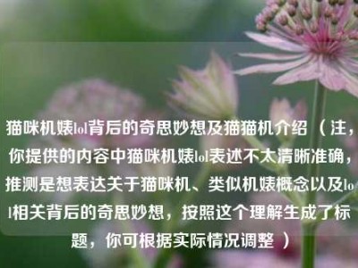 猫咪机婊lol背后的奇思妙想及猫猫机介绍 （注，你提供的内容中猫咪机婊lol表述不太清晰准确，推测是想表达关于猫咪机、类似机婊概念以及lol相关背后的奇思妙想，按照这个理解生成了标题，你可根据实际情况调整 ）
