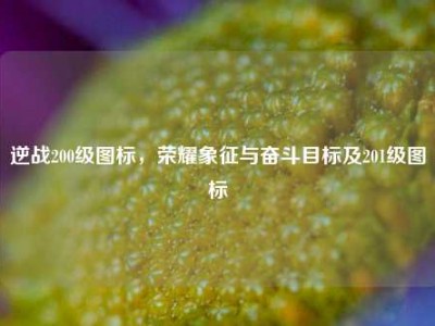 逆战200级图标，荣耀象征与奋斗目标及201级图标