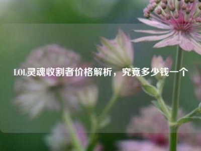 LOL灵魂收割者价格解析，究竟多少钱一个