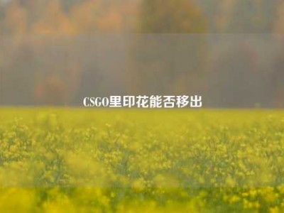 CSGO里印花能否移出