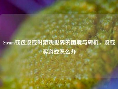 Steam钱包没钱时游戏世界的困境与转机，没钱买游戏怎么办