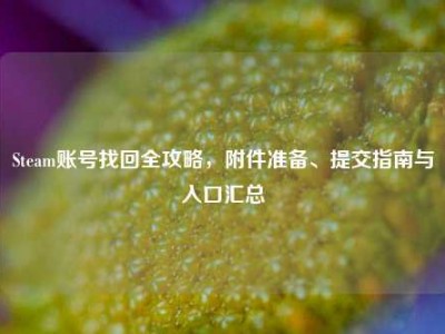 Steam账号找回全攻略，附件准备、提交指南与入口汇总