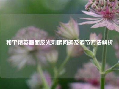 和平精英画面反光刺眼问题及调节方法解析