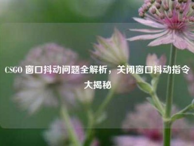 CSGO 窗口抖动问题全解析，关闭窗口抖动指令大揭秘