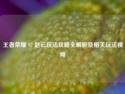 王者荣耀 S7 赵云玩法攻略全解析及相关玩法视频