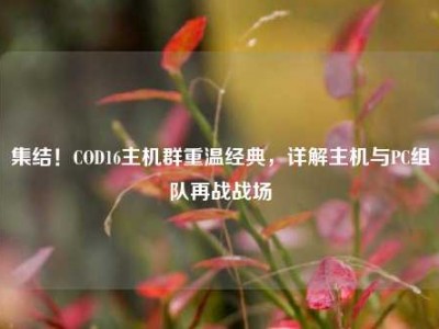 集结！COD16主机群重温经典，详解主机与PC组队再战战场