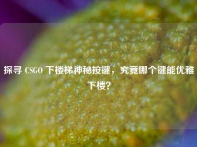 探寻 CSGO 下楼梯神秘按键，究竟哪个键能优雅下楼？