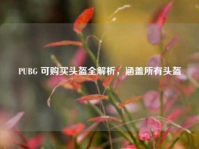 PUBG 可购买头盔全解析，涵盖所有头盔