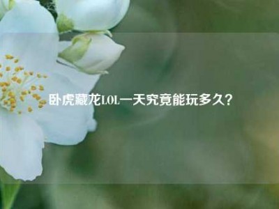 卧虎藏龙LOL一天究竟能玩多久？