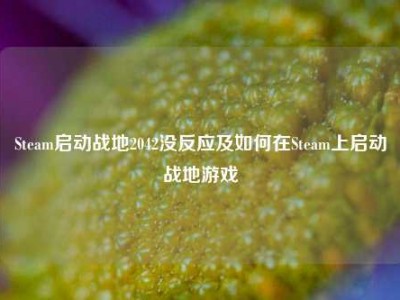 Steam启动战地2042没反应及如何在Steam上启动战地游戏