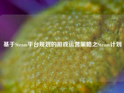 基于Steam平台规划的游戏运营策略之Steam计划