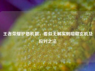 王者荣耀护盾机制，看似无解实则暗藏玄机及应对之法