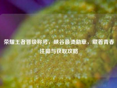 荣耀王者晋级称号，峡谷最烫勋章，藏着青春注脚与获取攻略