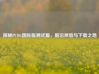 探秘PUBG国际版测试服，前沿体验与下载之地