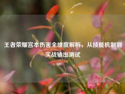 王者荣耀宫本伤害全维度解析，从技能机制到实战输出测试