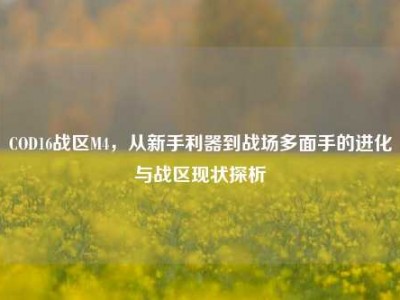 COD16战区M4，从新手利器到战场多面手的进化与战区现状探析