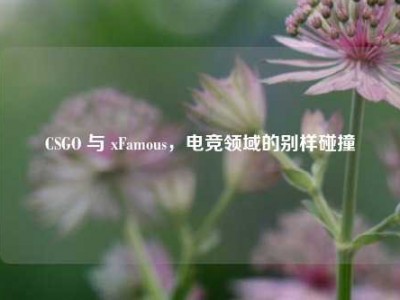 CSGO 与 xFamous，电竞领域的别样碰撞