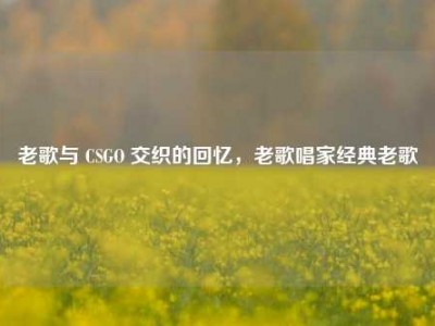 老歌与 CSGO 交织的回忆，老歌唱家经典老歌