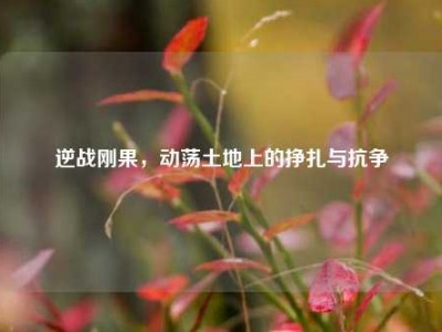 逆战刚果，动荡土地上的挣扎与抗争